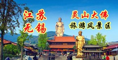 骚妇av网江苏无锡灵山大佛旅游风景区